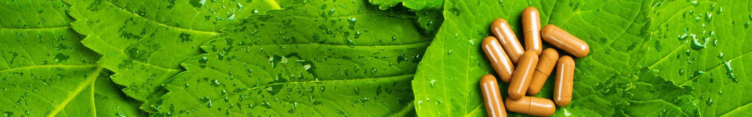 Essential Wellness Pharmacy