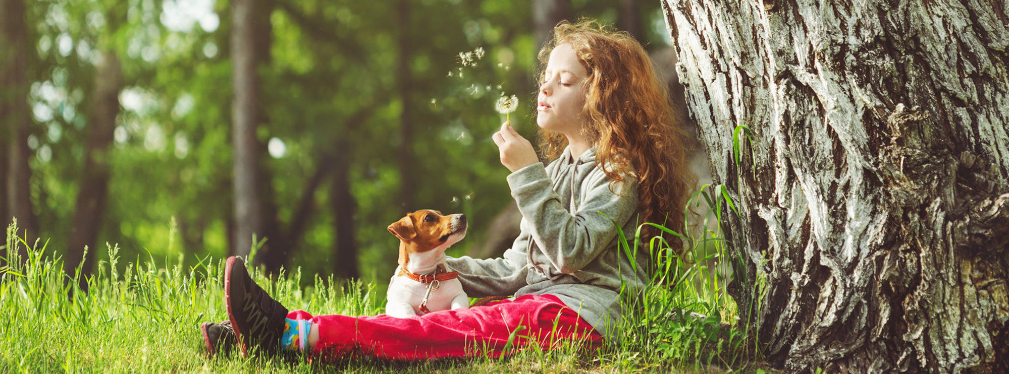 Slider Image: Little Girl with Cute Dog
